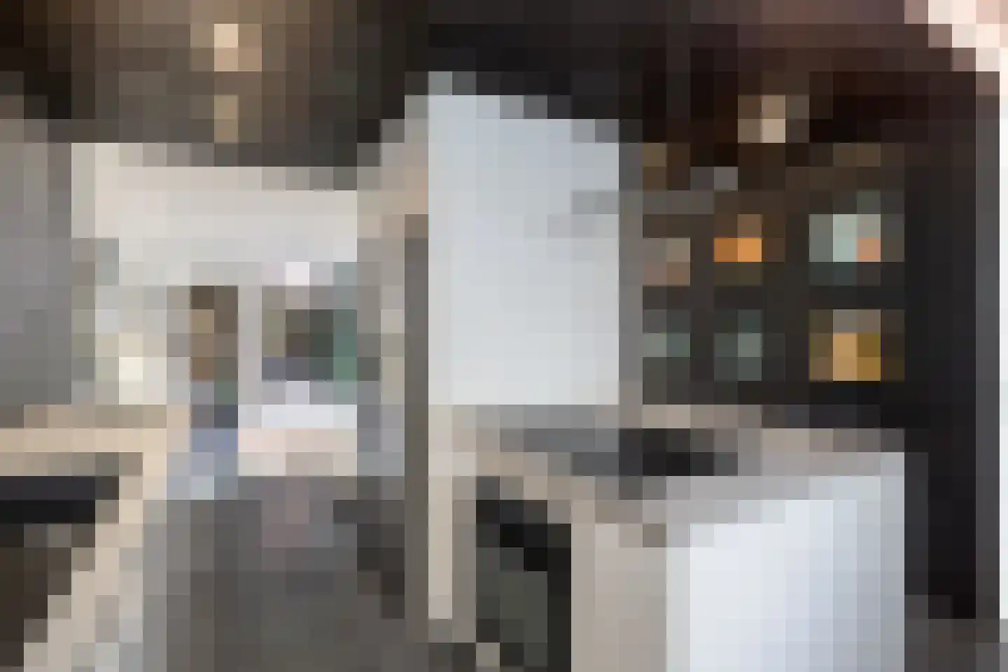 Van Abbestraat 8 Amsterdam thumbnail 8
