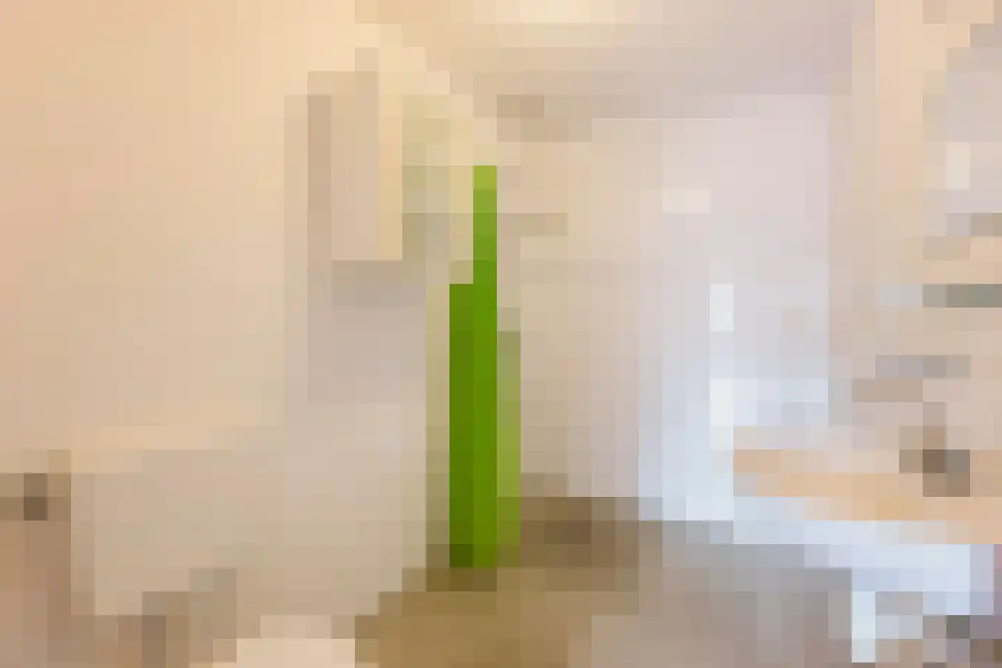 Van Abbestraat 80 Amsterdam thumbnail 15