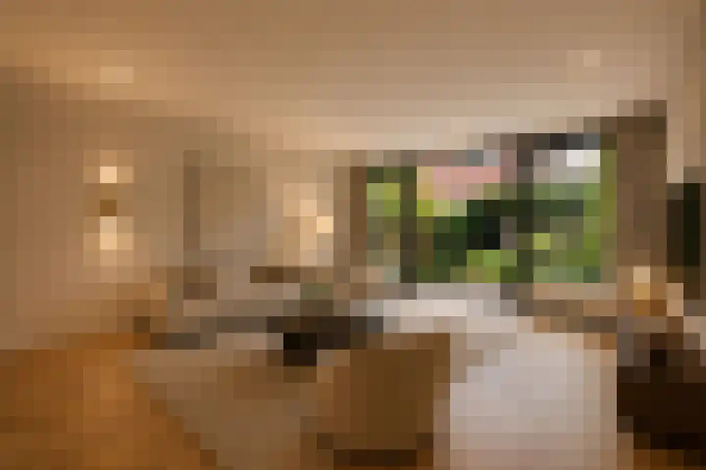 Van Abbestraat 80 Amsterdam thumbnail 4