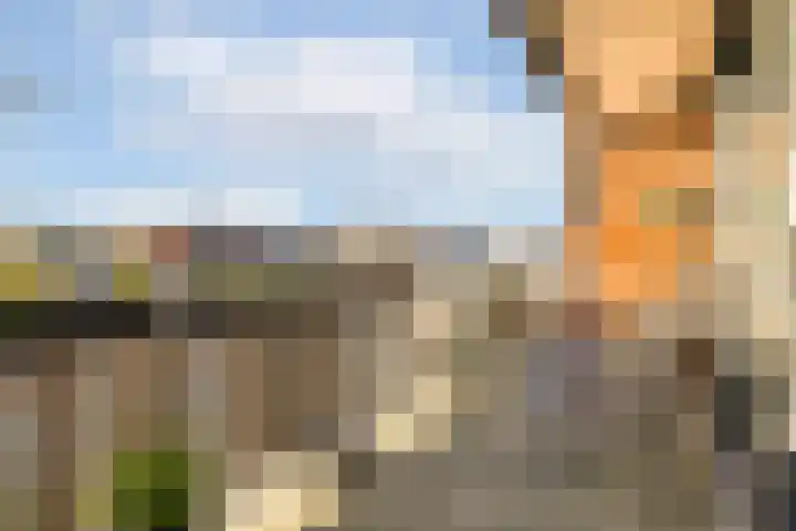 Van Abbestraat 90 Amsterdam thumbnail 6