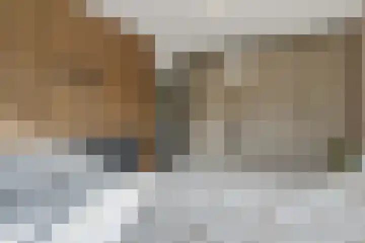 Van Abcoudehof 11 Rhenen thumbnail 22
