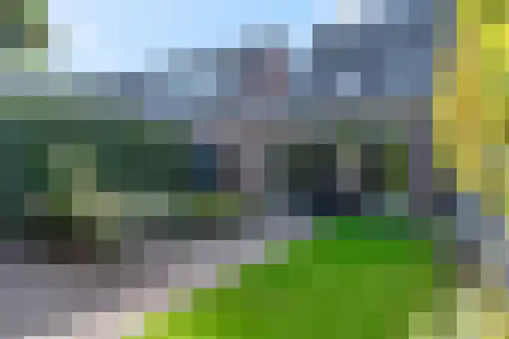 Van Abcoudehof 11 Rhenen thumbnail 38