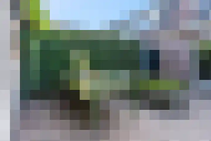 Van Abcoudehof 11 Rhenen thumbnail 39