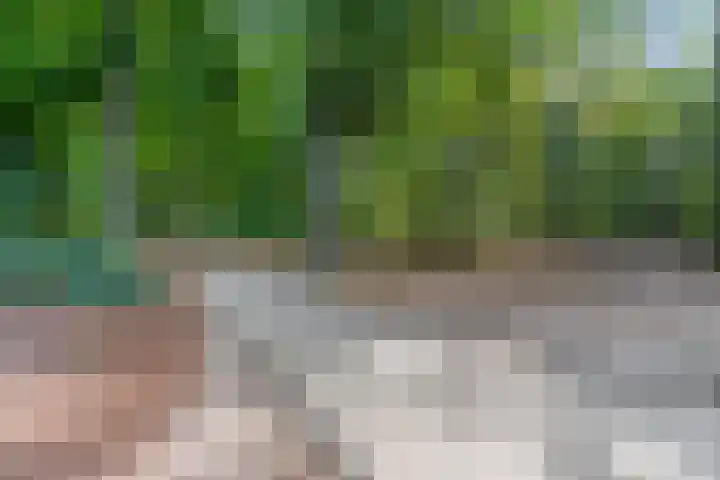 Van Abcoudehof 11 Rhenen thumbnail 45