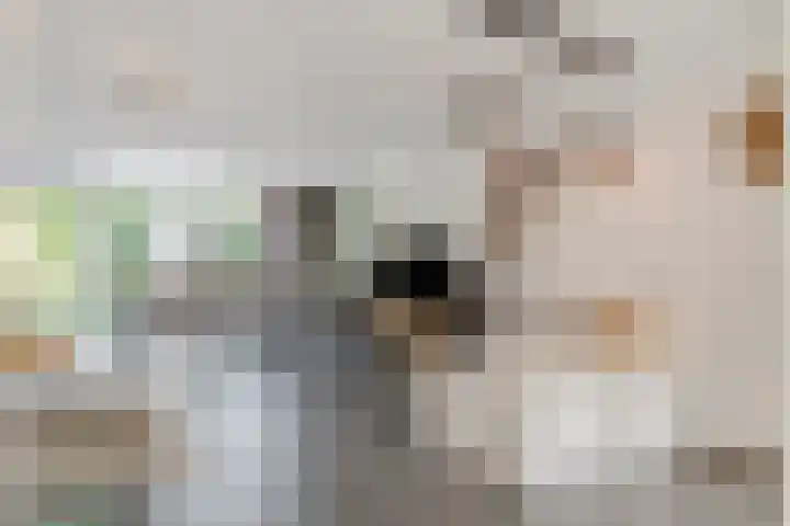 Van Abcoudehof 11 Rhenen thumbnail 7