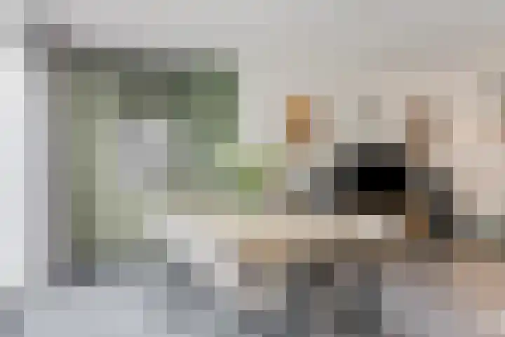 Van Abcoudehof 11 Rhenen thumbnail 9