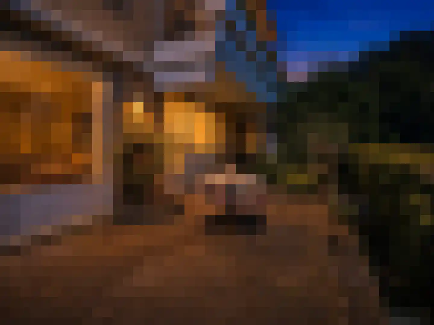Van Abcoudehof 43 Rhenen thumbnail 26