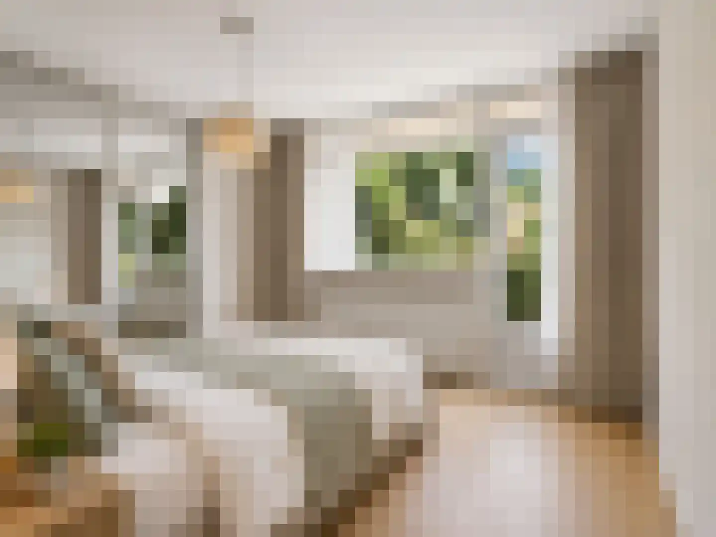 Van Abcoudehof 43 Rhenen thumbnail 26
