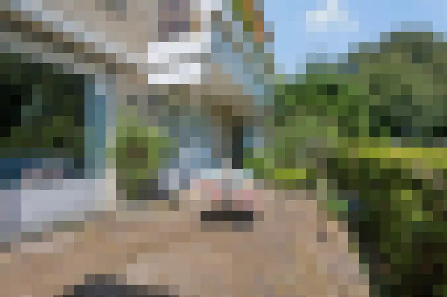Van Abcoudehof 43 Rhenen thumbnail 27