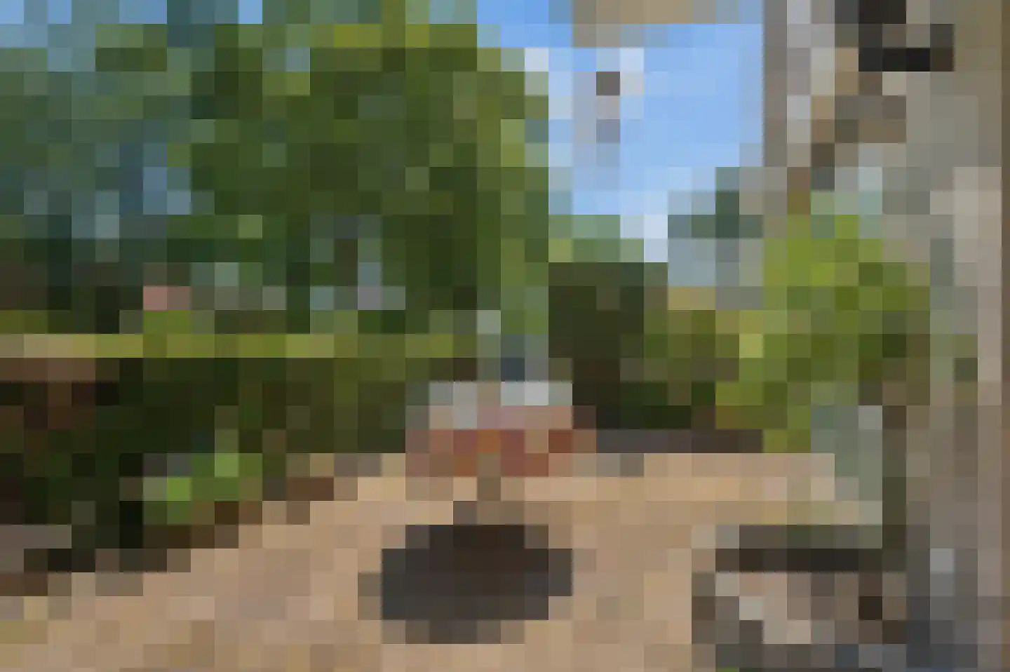 Van Abcoudehof 43 Rhenen thumbnail 28