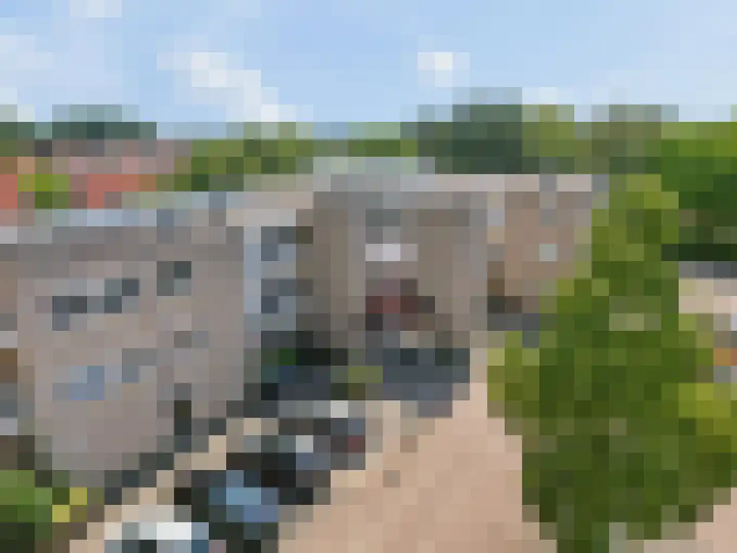 Van Abcoudehof 43 Rhenen thumbnail 30