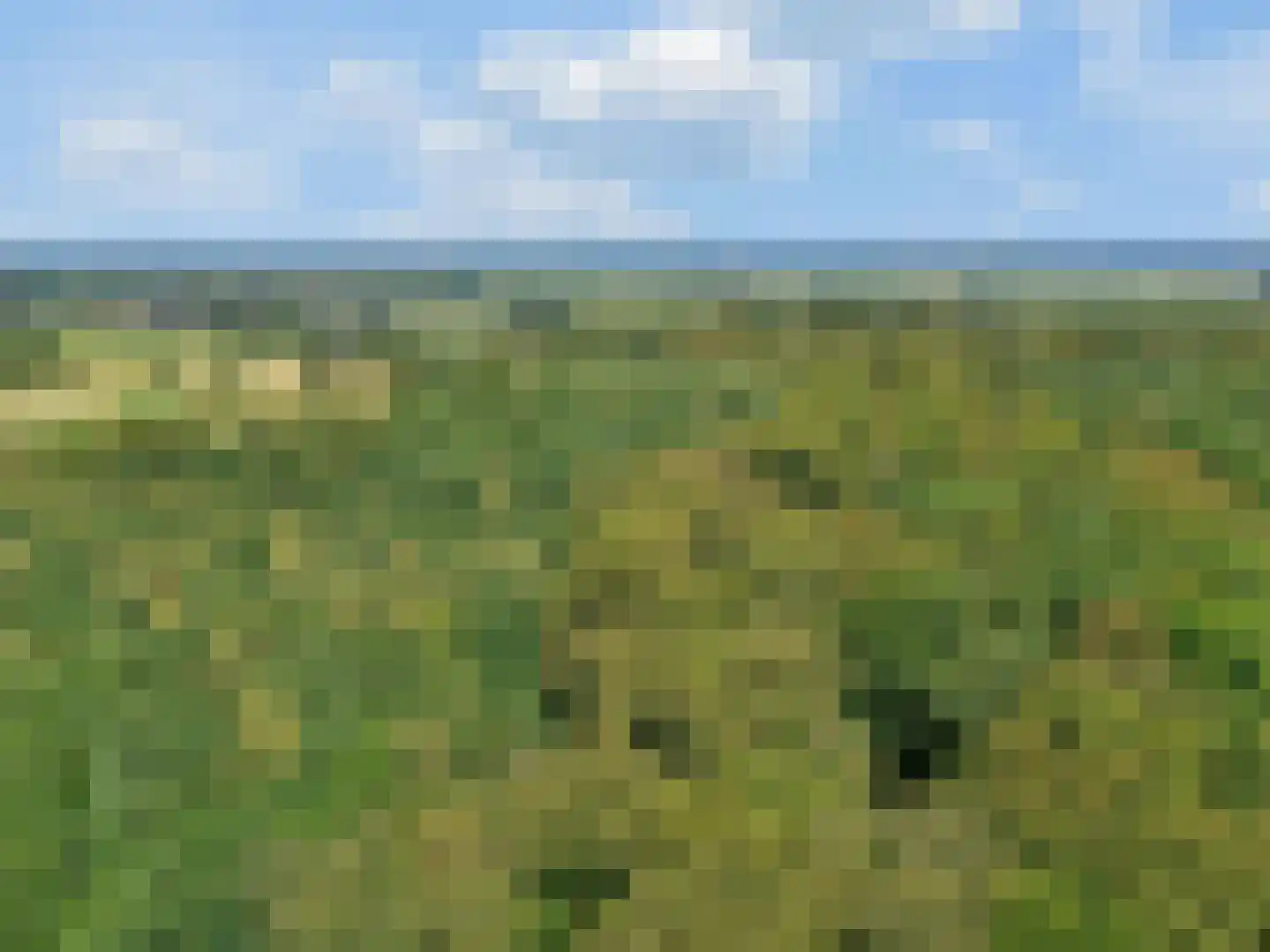Van Abcoudehof 43 Rhenen thumbnail 33