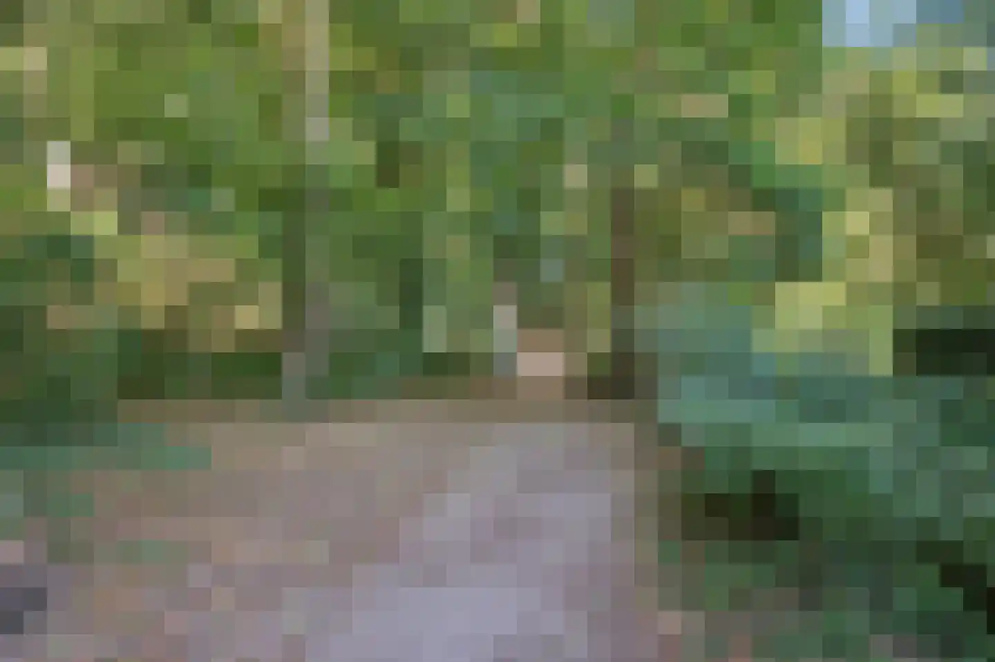 Van Abcoudehof 43 Rhenen thumbnail 42