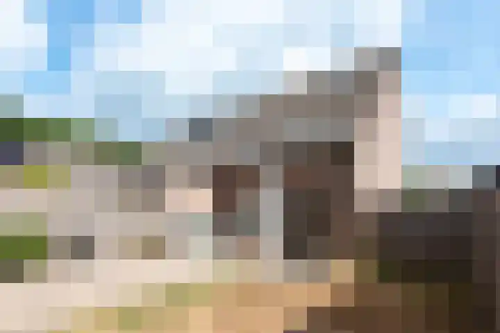 Van Abcoudehof 56 Rhenen thumbnail 25