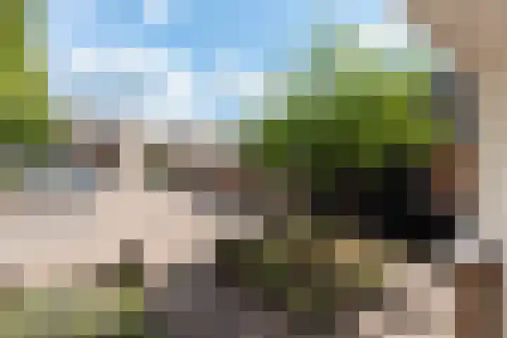 Van Abcoudehof 56 Rhenen thumbnail 26