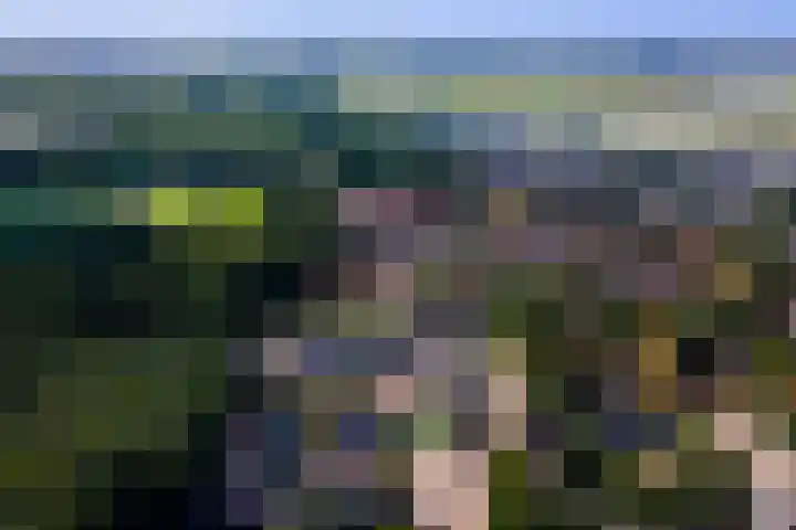 Van Abcoudehof 56 Rhenen thumbnail 27