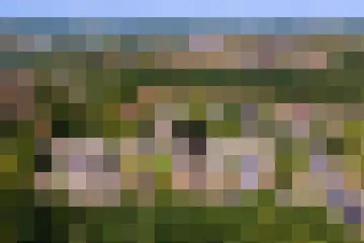 Van Abcoudehof 56 Rhenen thumbnail 28