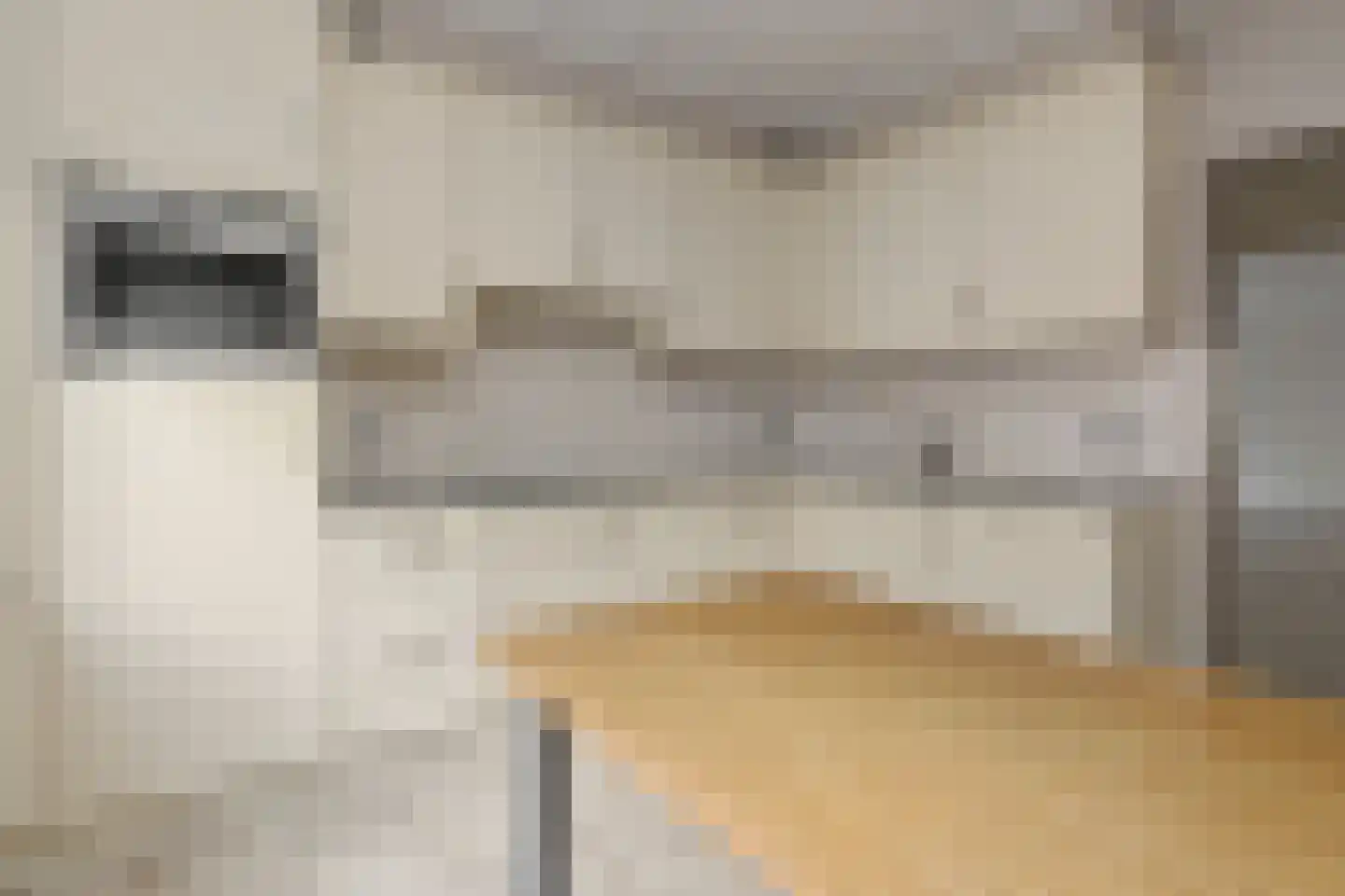 van Acchgelstraat 4 Egchel thumbnail 12