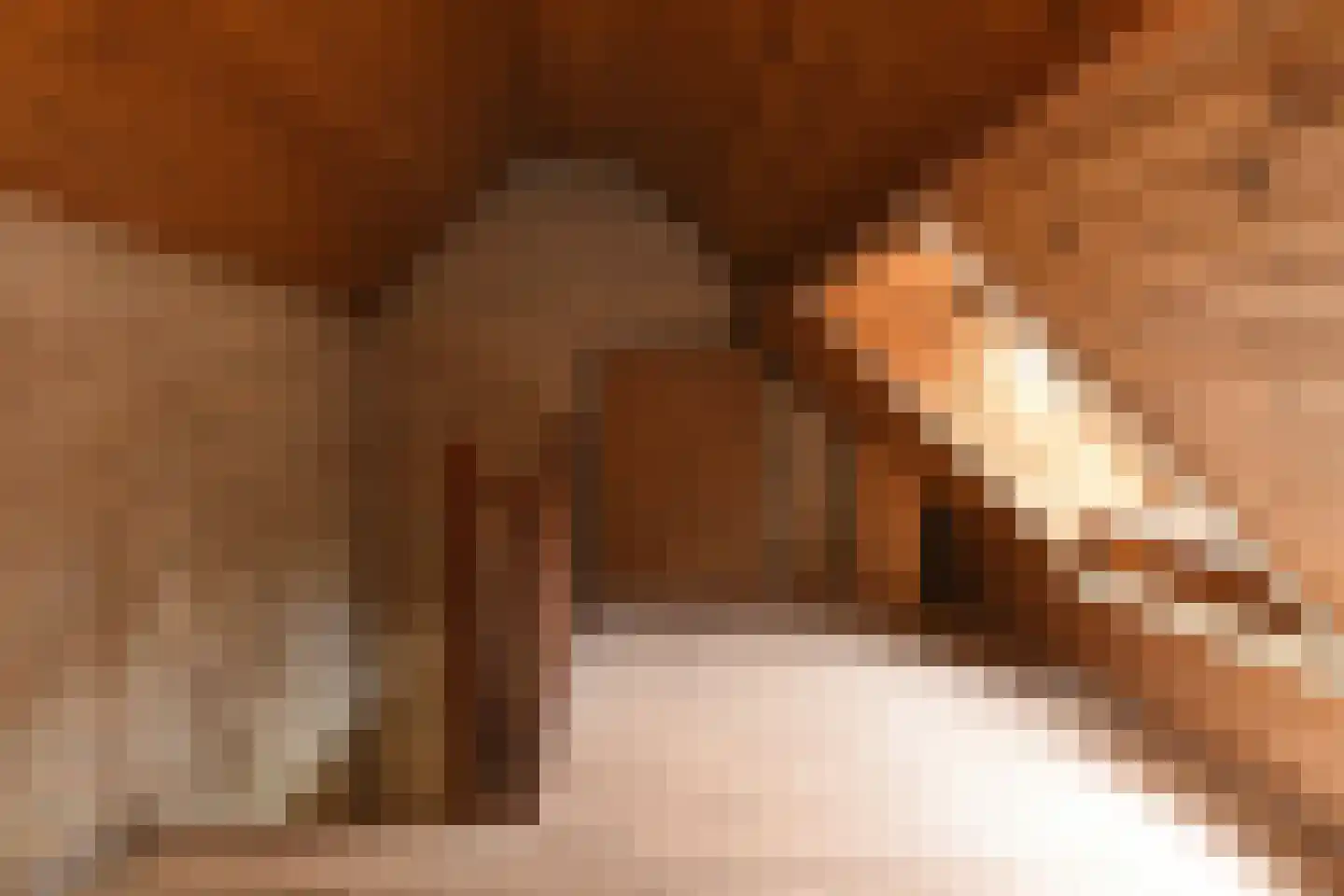 van Acchgelstraat 4 Egchel thumbnail 22
