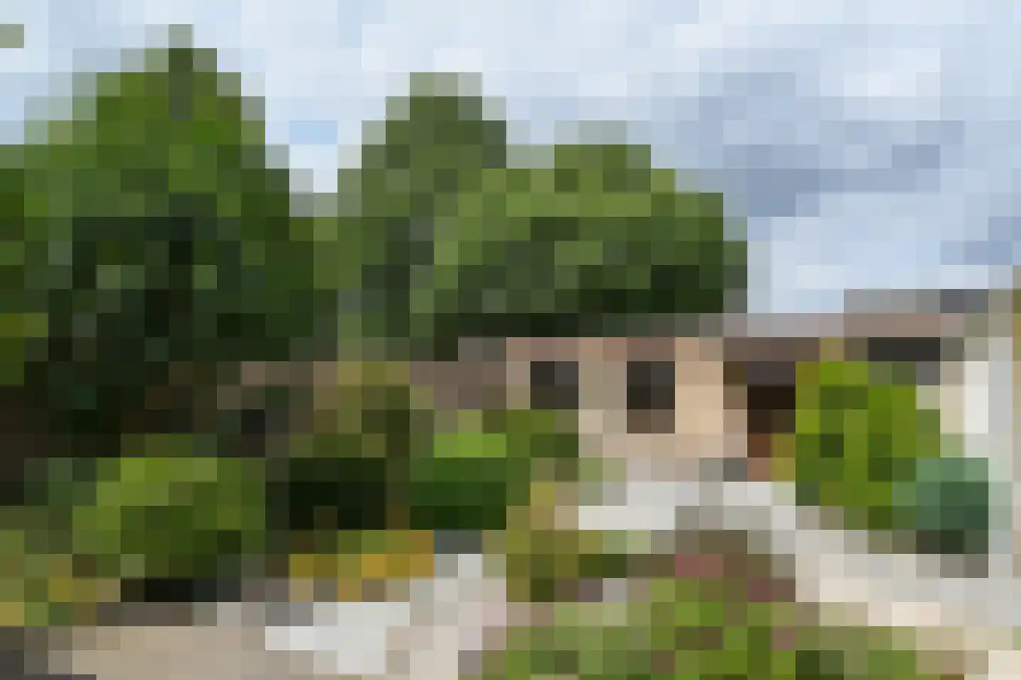 van Acchgelstraat 4 Egchel thumbnail 31