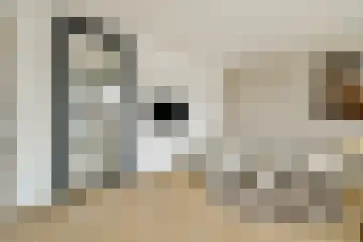 Van Ackerhof 27 Landsmeer thumbnail 12