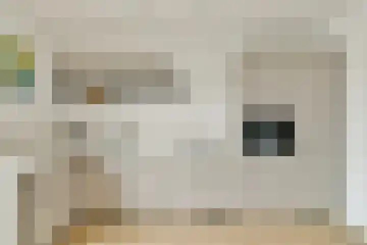 Van Ackerhof 27 Landsmeer thumbnail 17