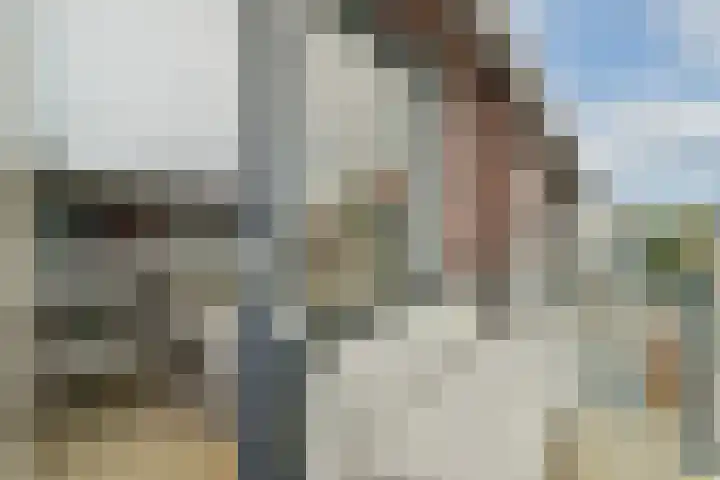 Van Ackerhof 27 Landsmeer thumbnail 18