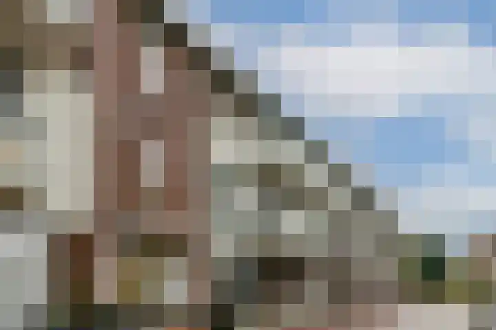 Van Ackerhof 27 Landsmeer thumbnail 6