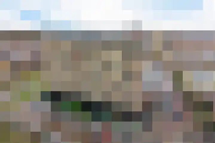 Van Adrichemstraat 119 in Delft