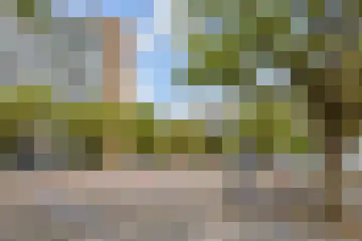 Van Adrichemstraat 125 Delft thumbnail 30