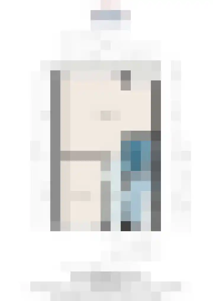 Van Adrichemstraat 125 Delft thumbnail 34