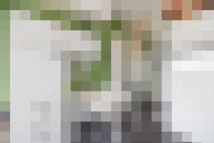 Van Adrichemstraat 179 Delft thumbnail 5