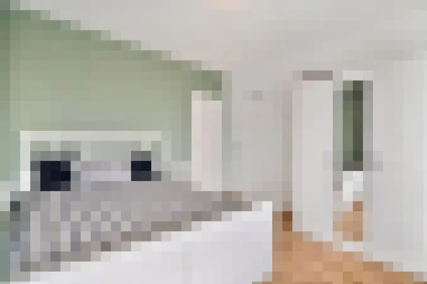 Van Adrichemstraat 299 Delft thumbnail 17