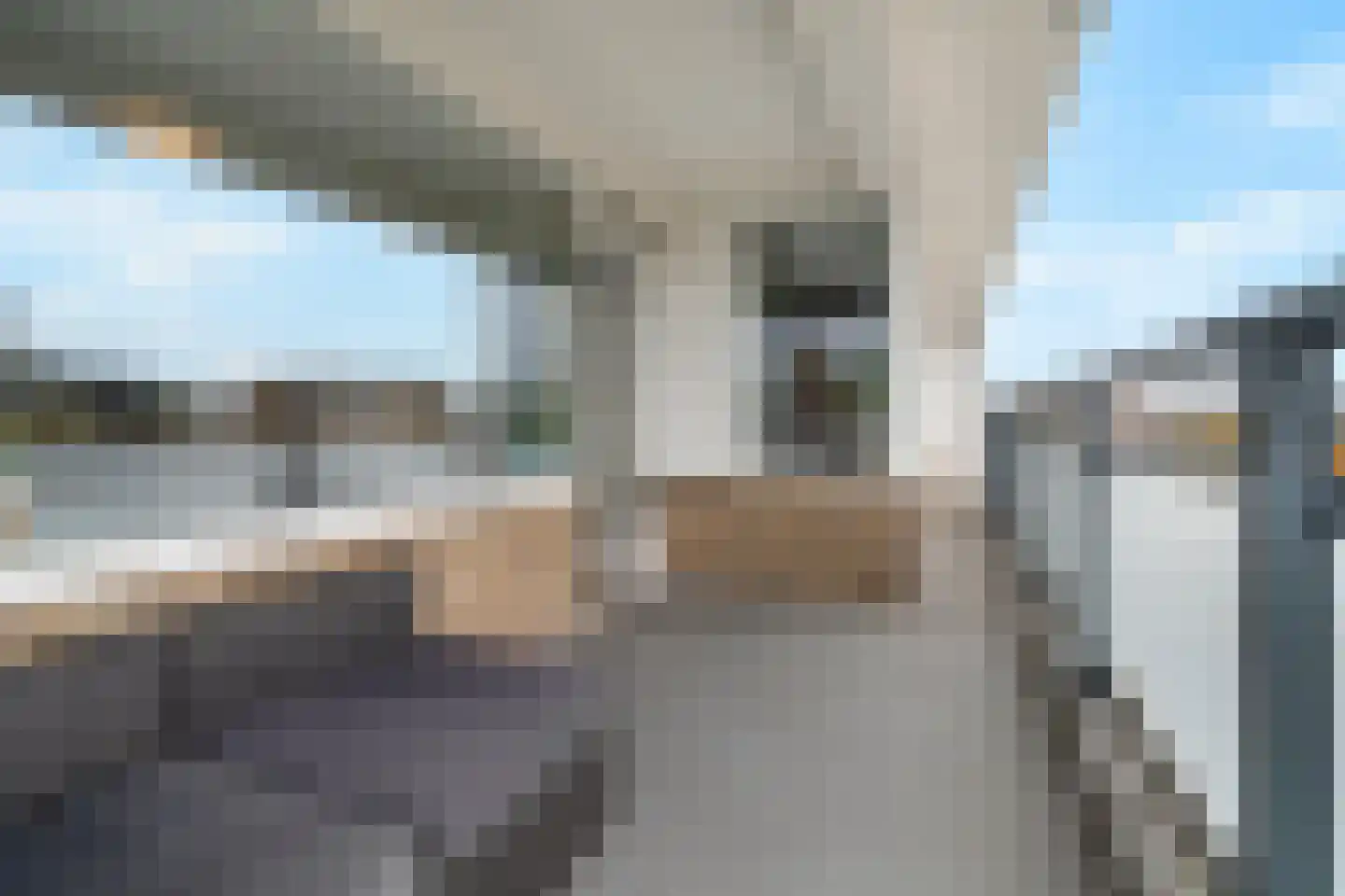Van Adrichemstraat 299 Delft thumbnail 20