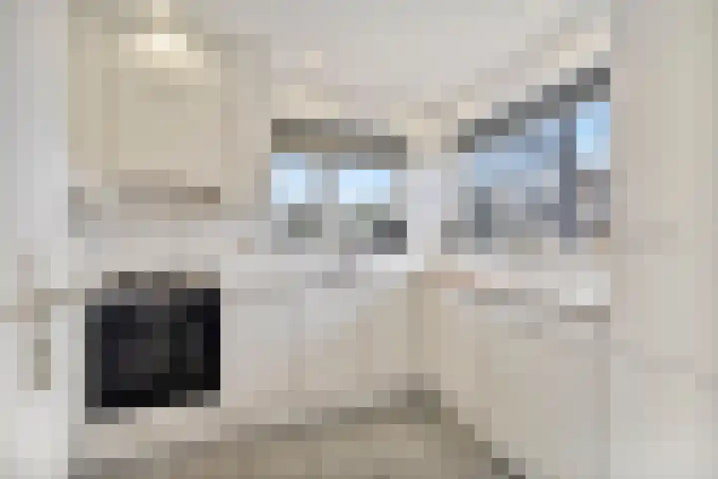 Van Adrichemstraat 299 Delft thumbnail 7