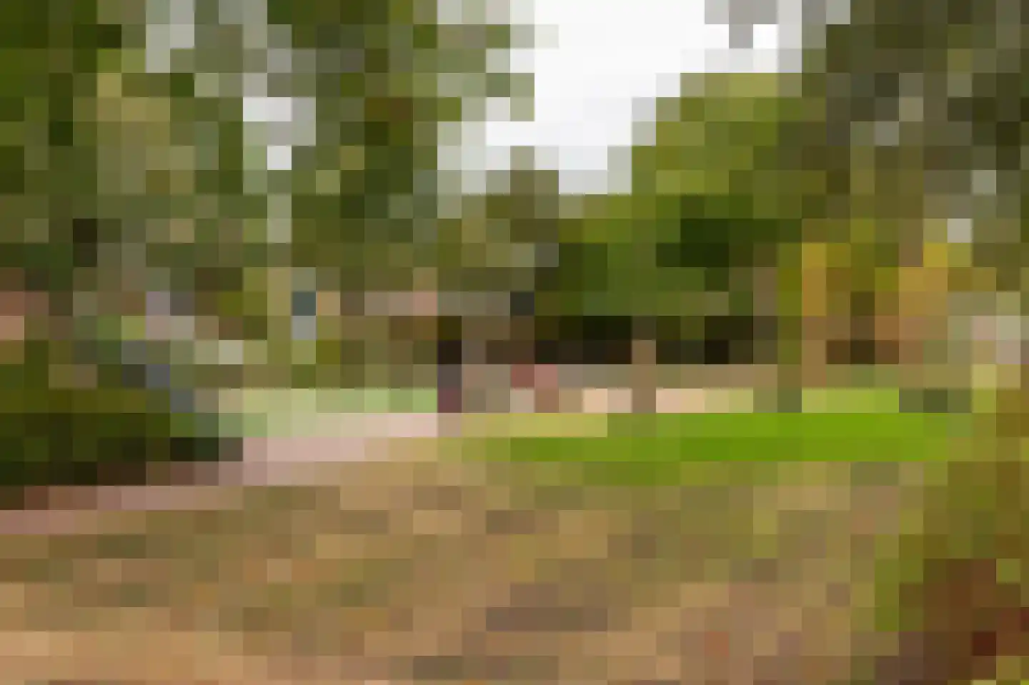 Van Adrichemstraat 311 Delft thumbnail 30
