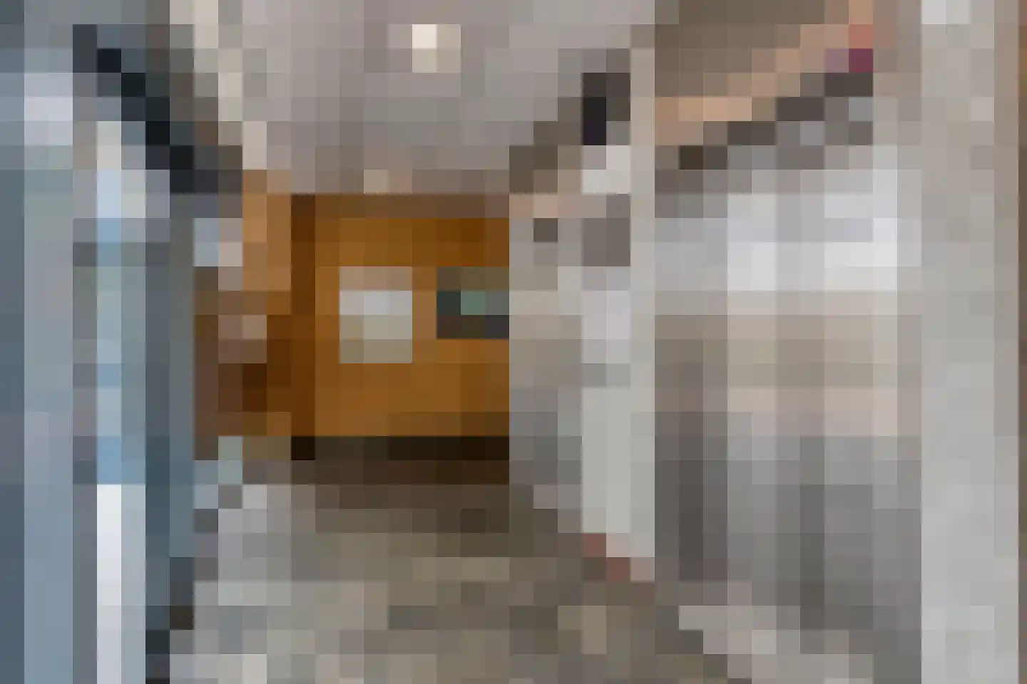 Van Adrichemstraat 319 Delft thumbnail 11