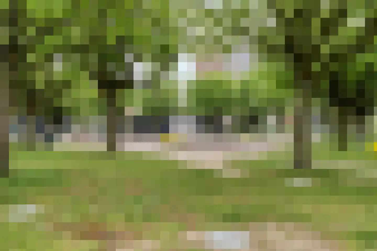 Van Adrichemstraat 319 Delft thumbnail 36