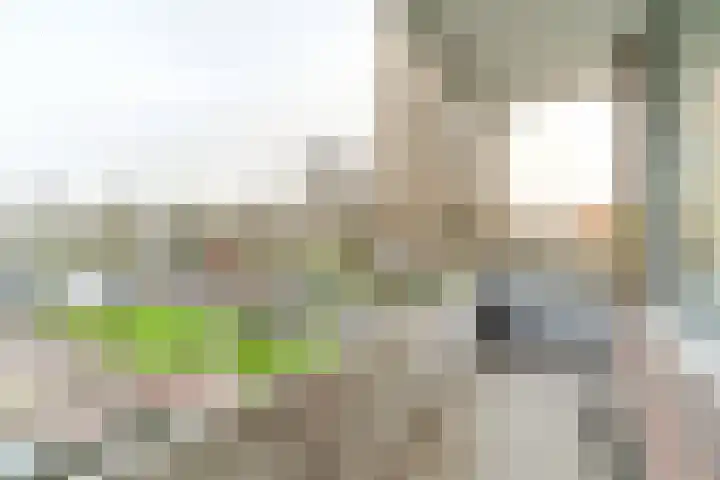 Van Adrichemstraat 63 Delft thumbnail 17