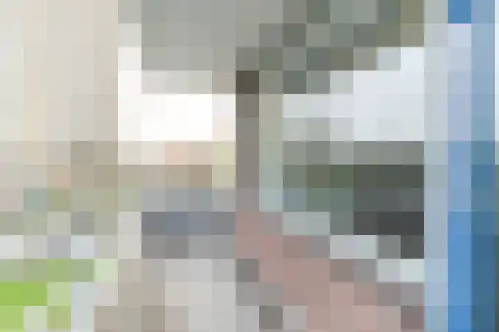 Van Adrichemstraat 63 Delft thumbnail 18