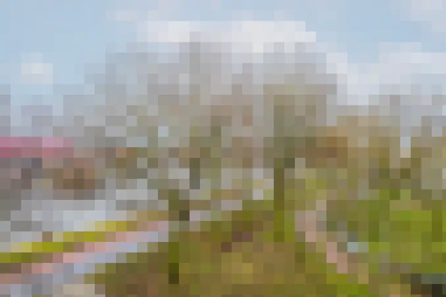 Van Adrichemweg 175 Rotterdam thumbnail 5