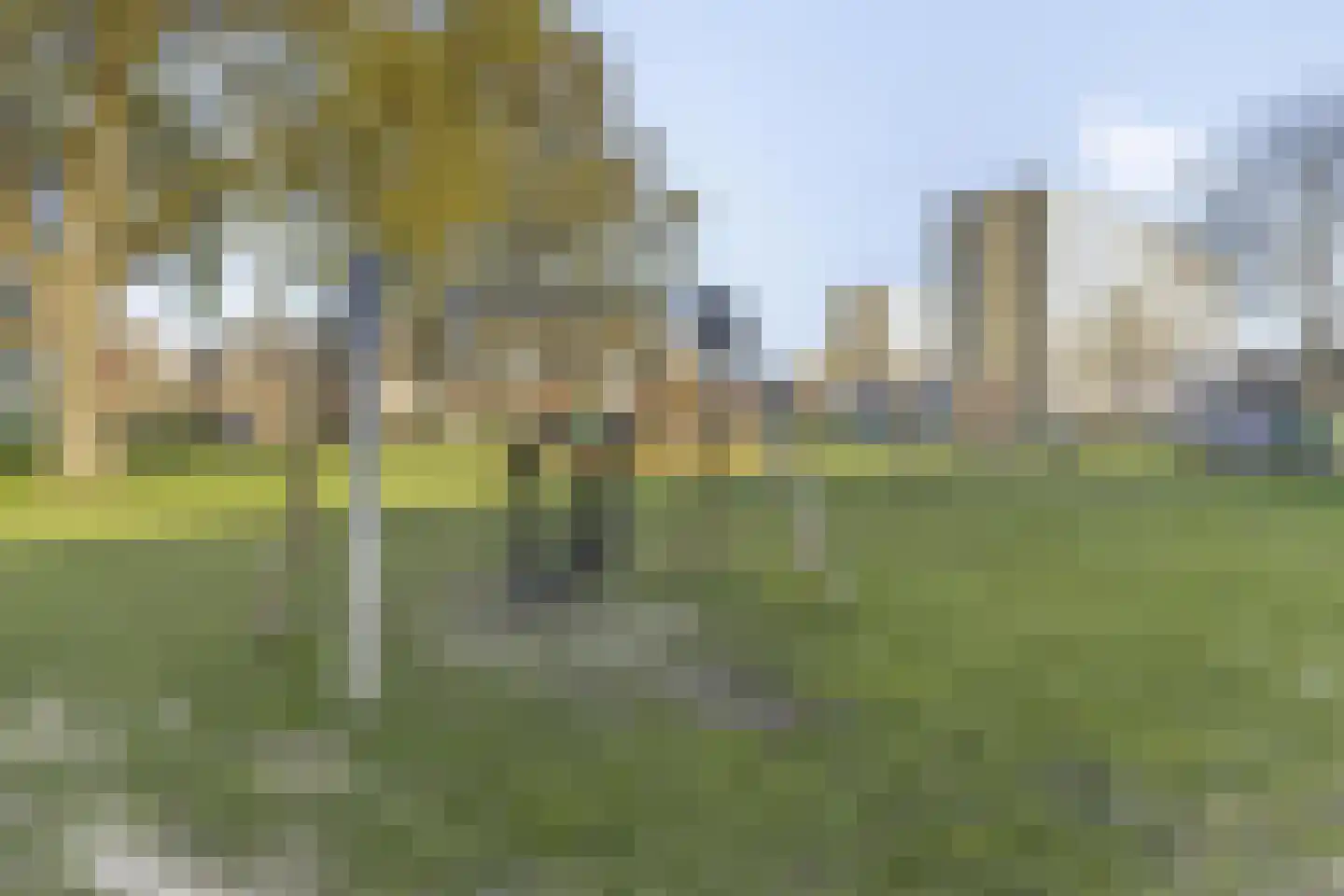 Van Adrichemweg 177 Rotterdam thumbnail 30