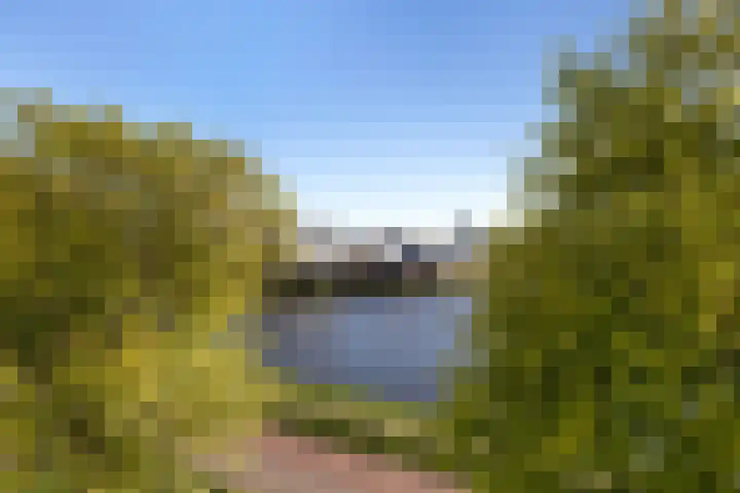 Van Adrichemweg 189 Rotterdam thumbnail 39