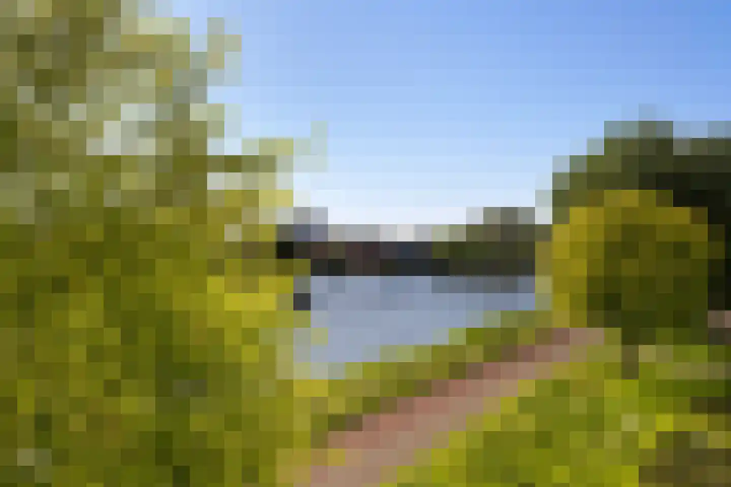 Van Adrichemweg 189 Rotterdam thumbnail 4