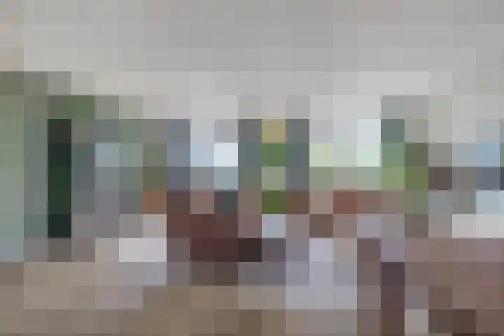 Van Adrichemweg 199 Rotterdam thumbnail 15