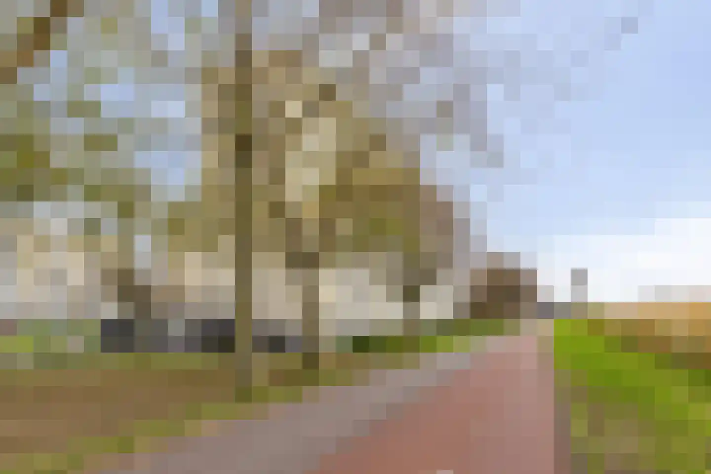 Van Adrichemweg 249 Rotterdam thumbnail 26