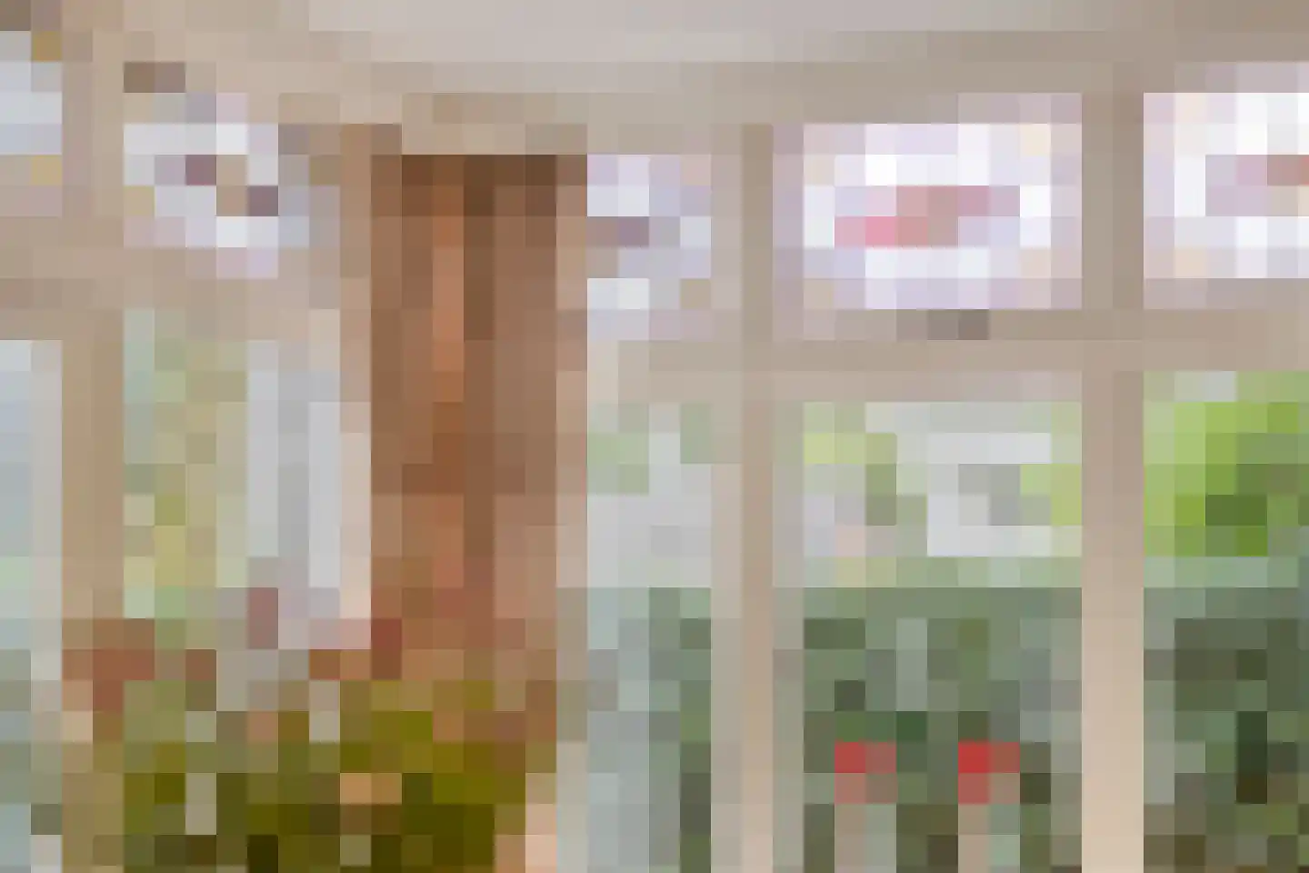 Van Aelstlaan 20 Apeldoorn thumbnail 21