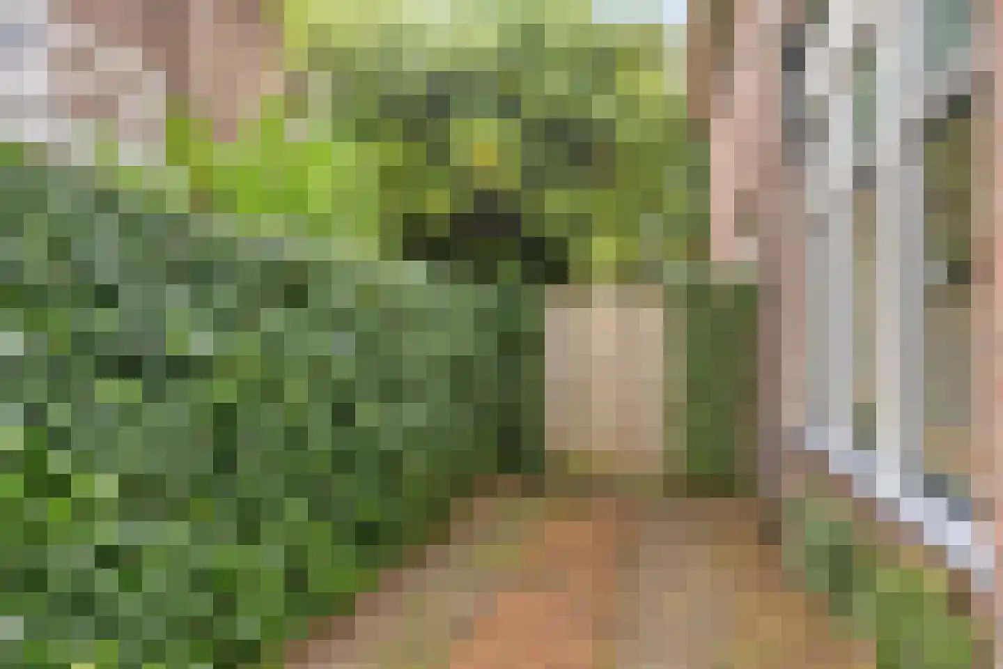 Van Aelstlaan 20 Apeldoorn thumbnail 42