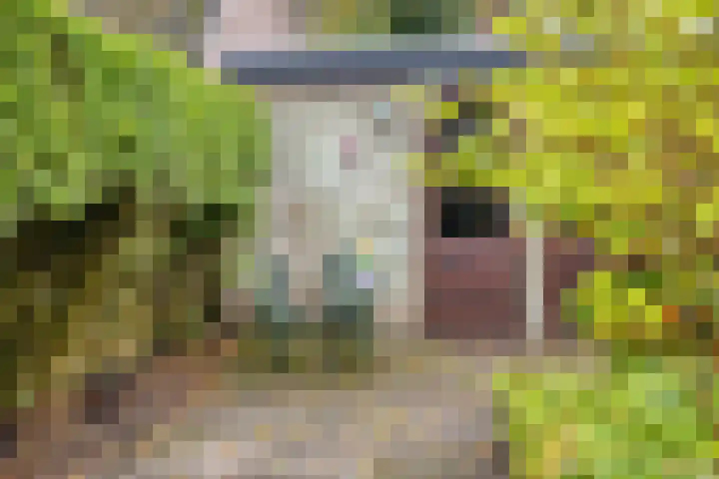 Van Aelstlaan 20 Apeldoorn thumbnail 43