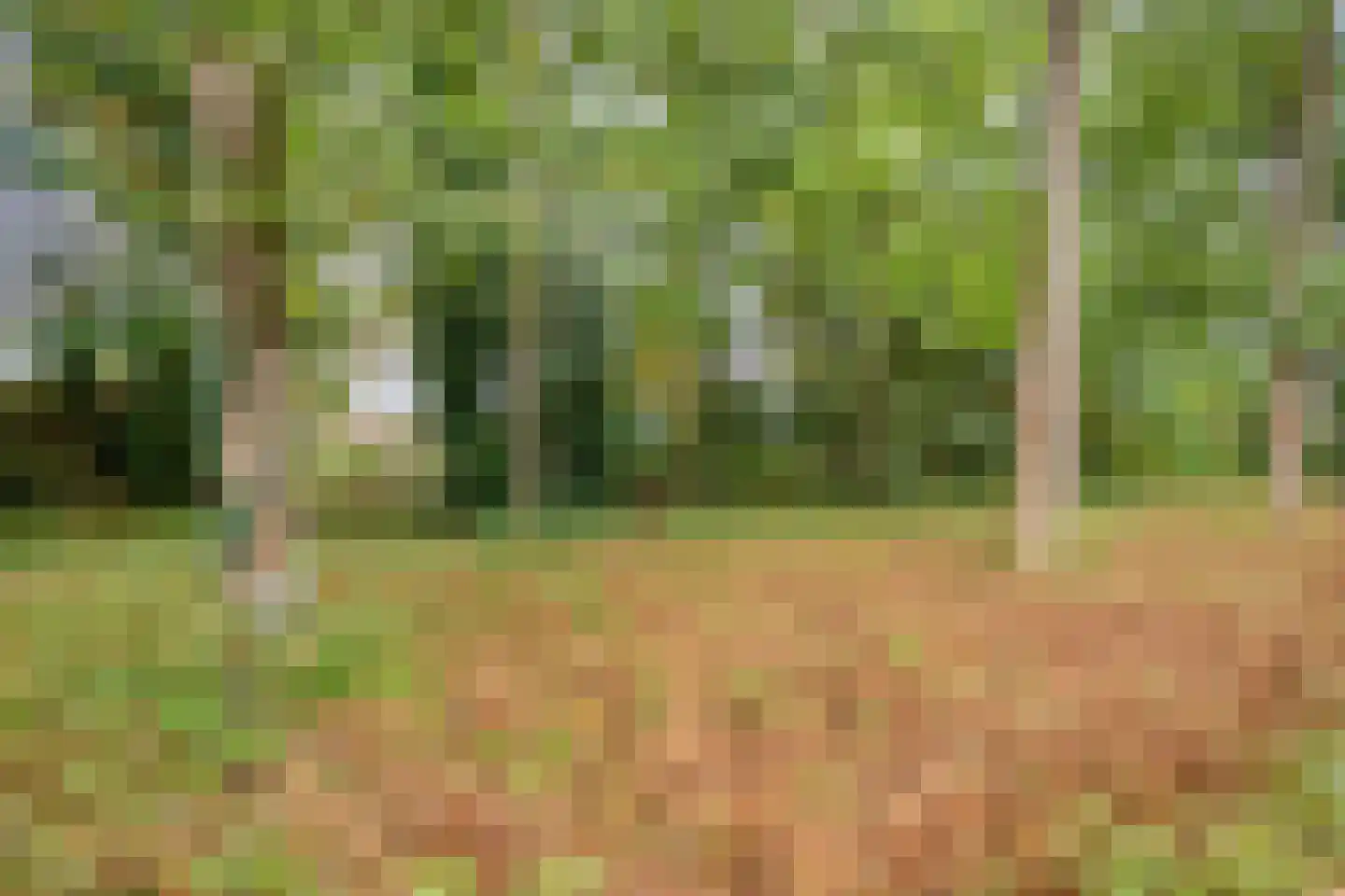 Van Aelstlaan 20 Apeldoorn thumbnail 54